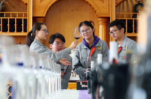 葡萄酒试验示范站首席专家张振文教授正在指导研究生开展田间科学试验